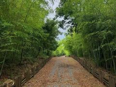 -南京市无想山景区