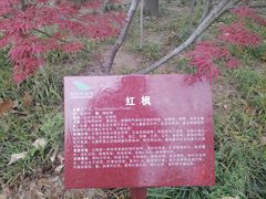 -郑州植物园
