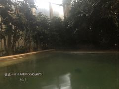 -仁爱团泊湖温泉中心