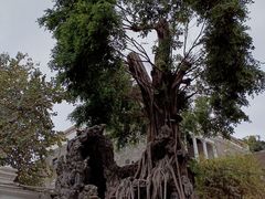 -荔湾博物馆
