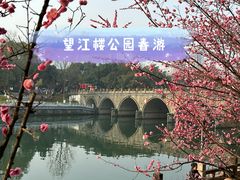 -望江楼公园