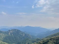 -大岭沟猕猴桃谷风景区