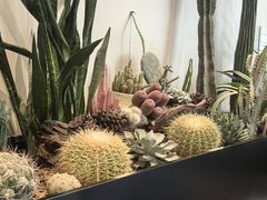 -J Create城市露营咖啡·简餐·宠物(上海动物园店)