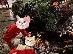 -聚福宝合苑食府(南头镇店)