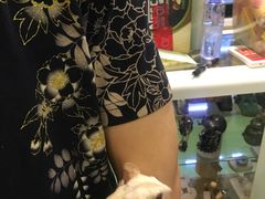 -藦茜花园宠物主题亲子互动体验馆(国顺东路店)