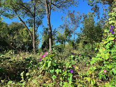 -北京西山国家森林公园