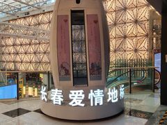 -摩天活力城·摩天轮