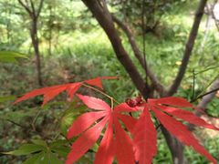 -毛泽东同志旧居