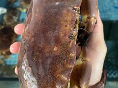-马王堆海鲜水产市场