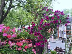 -萤火虫咖啡(后海店)