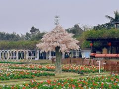 -盈香心动乐园