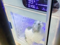 -熊小胖宠物生活馆(天华园店)