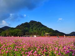 -广州市石门国家森林公园