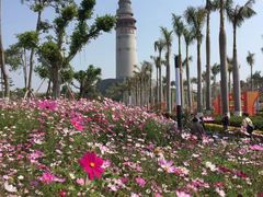 -五通灯塔公园