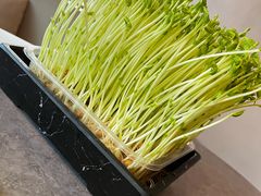 农场活体豌豆苗-故里和山·成都火锅(欢乐港湾店)