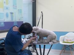 -天宠宠物医院24小时·急重症诊疗中心·全科·腔镜特色(和平分院)