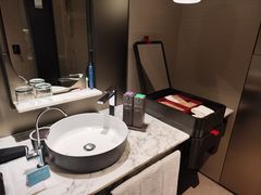 -新加坡瑞士史丹福酒店