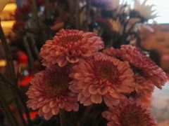 -酒肆浅葱•烧烤•龙虾•排档(卓悦intown店)