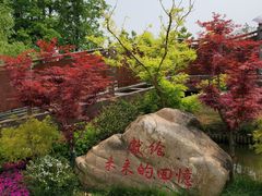 -上海长兴岛郊野公园