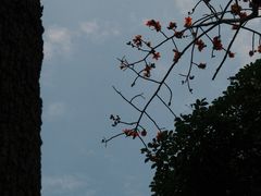 -越秀公园(地铁站)