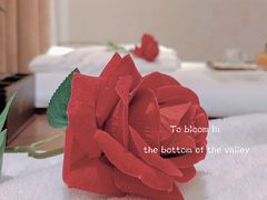 -宫七SPA·高端Massage(浦东大道店)