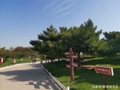-塘沽森林公园