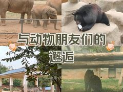 -石家庄市动物园