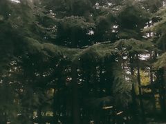 -大雁塔北广场音乐喷泉