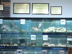 -南海渔家•海鲜•正宗海南菜(海棠湾店)