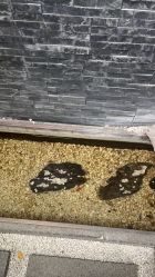 -爱儿美儿童摄影(奥森公园店)