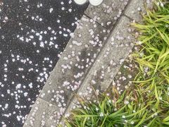 -湘湖金融镇