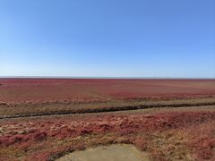 -红海滩国家风景廊道