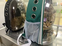 -pd派德宠物中心医院24H急重症·眼科中心·血液透析中心(嵩山北路店)