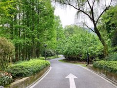 -中国丝绸博物馆