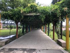 -苏州太湖西山岛开心农场