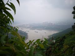 -铁山坪森林公园