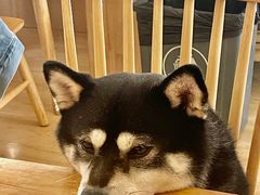 -柴の食堂·日式家庭料理·熊之肆(大学路店)
