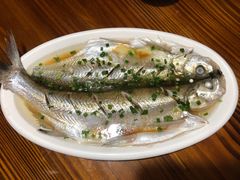 -呼吸森林·生态农庄农家乐私房菜