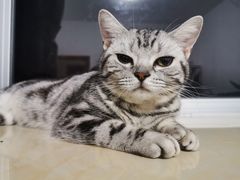 -鹅滋道(甘坑古镇店)