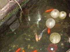 -蓉城老妈火锅(双林路店)