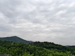 -大唐贡茶院