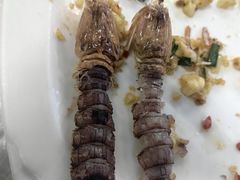 -众味海鲜大排档·活海鲜·潮汕味(南澳店)