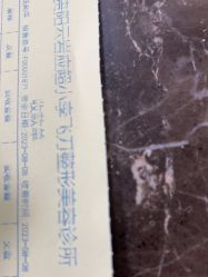 -应超小李飞刀整形