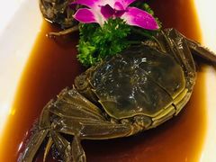 -旭龙鱼头王(航华店)