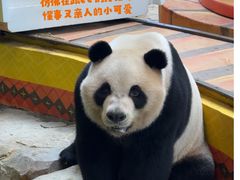 -广州长隆野生动物世界