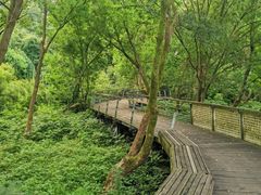 -西湖风景区-江洋畈生态公园
