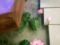 -碧露轩·大益茶体验馆(镇江路店)