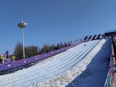 -沈阳奥体冰雪嘉年华