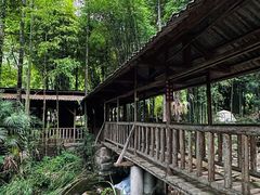 -龙窝子