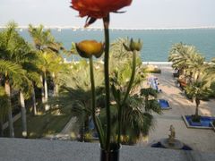 -V Bar海景扒房(北海湾惠龙万达嘉华酒店)